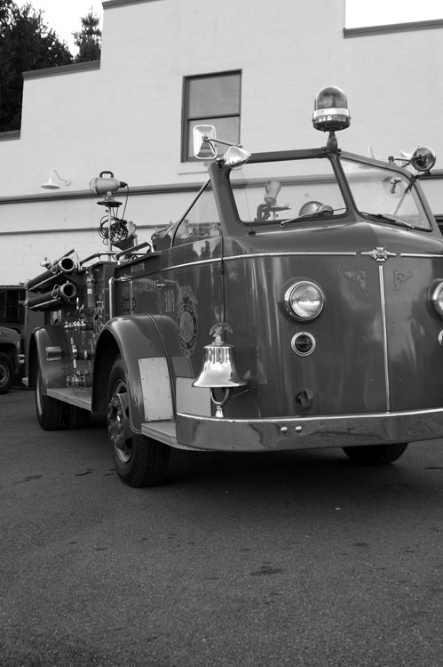 DSC_80795936_bw