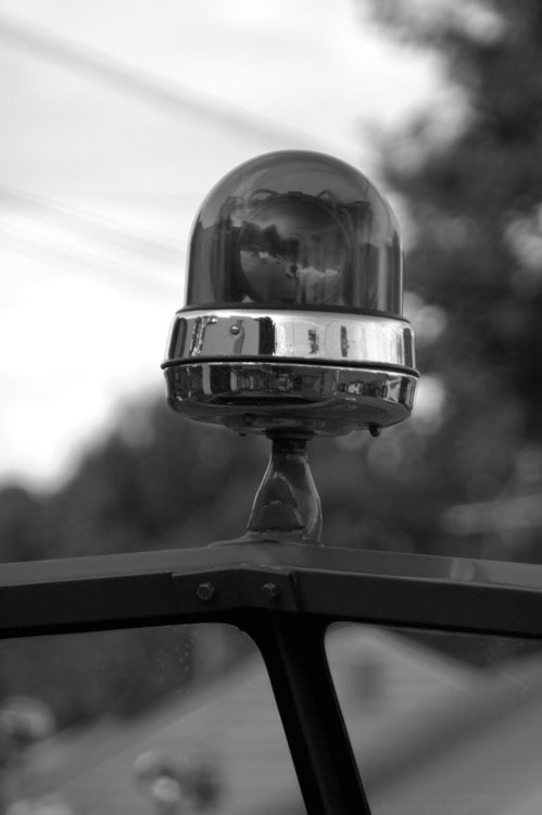 DSC_80826239_bw